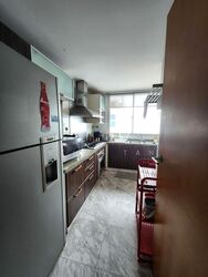 Gardenvista (D21), Condominium #504624341